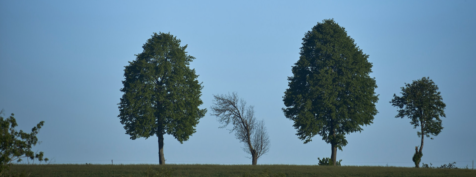 When MySQL Rebuilds Your Table: Understanding COPY Algorithm DDL