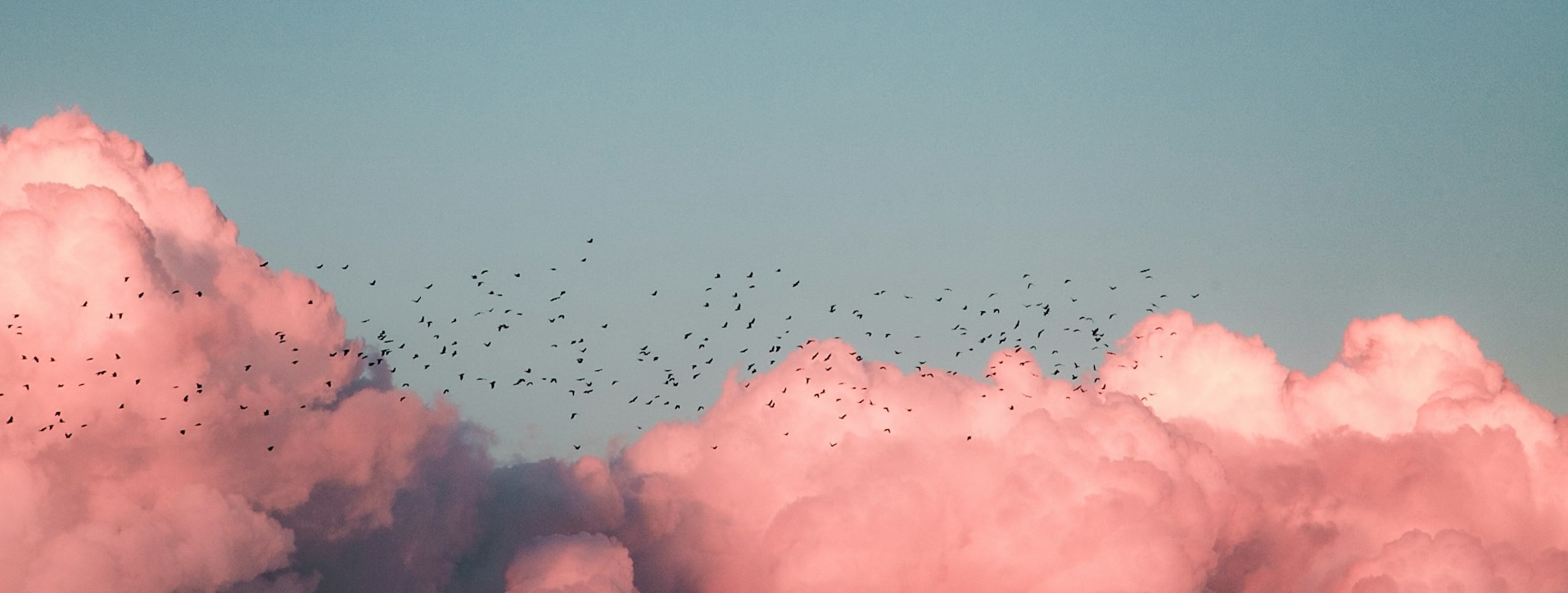 dbsafe in the Cloud: Safe Schema Changes on AWS Aurora and RDS